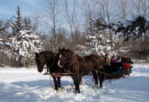 Enjoy A 45-Minute Sleigh Ride Through A Winter Wonderland In Granger, Iowa