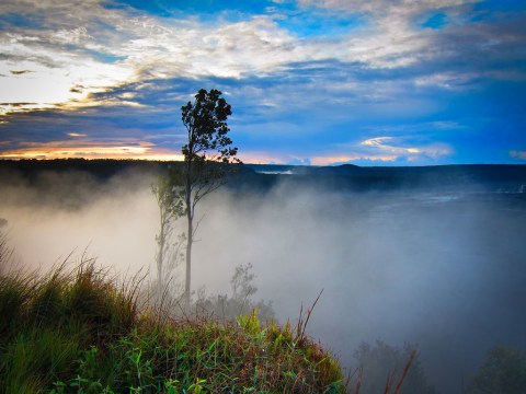 The Otherworldly Hike That Takes You Through Hawaii's Natural Steam Forest