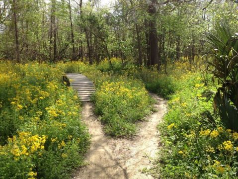 The Peaceful Nature Trail Near New Orleans You Can't Help But Love