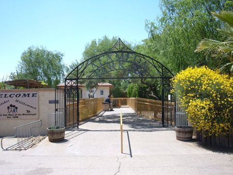 This Tiny Zoo In New Mexico Is One Of The Best In The Southwest