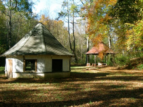 This Abandoned Natural Spring In South Carolina Is Just Begging To Be Visited