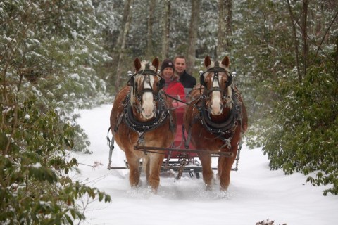 Enjoy A 30-Minute Sleigh Ride Through A Winter Wonderland At Cornerstone Ranch In Massachusetts