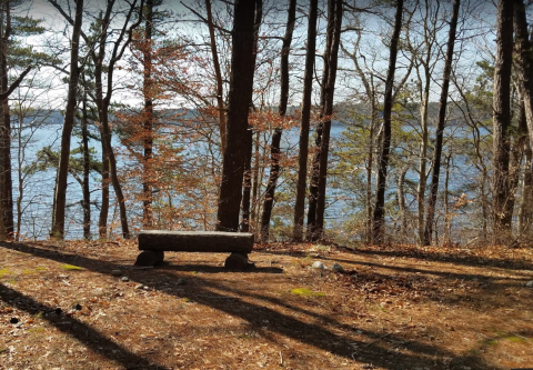 The Native American Burial Site Found In Massachusetts Is A Historical Wonder