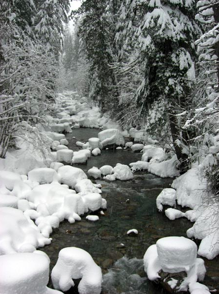 Watching Snow Fall From This One Hot Spring In Washington Is Basically Heaven