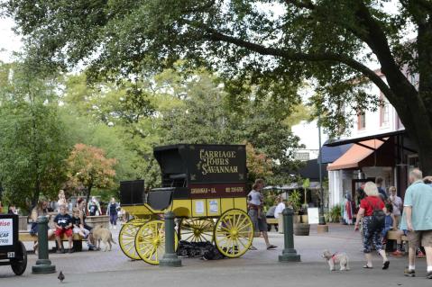 The Festive Carriage Ride In This Georgia City Is A Holiday Tradition To Experience