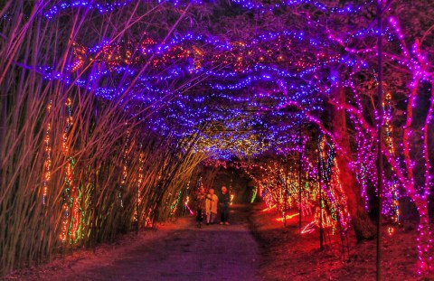 Nothing Beats A Stroll Through This Alabama Garden At Christmastime