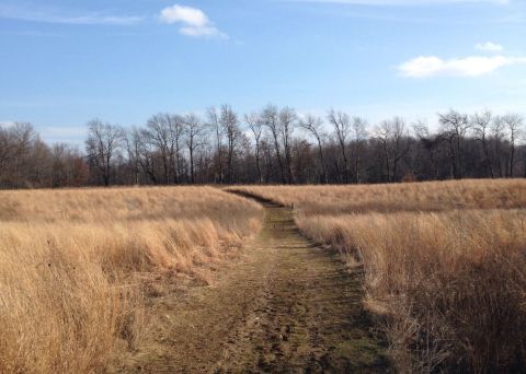 Overlook Miles Of Prairie From This Beautiful Hiking Trail In Ohio