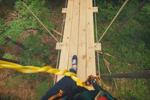 The Treetop Trail That Will Show You A Side Of Virginia You've Never Seen Before