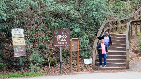 Hike This Short Waterfall Staircase In North Carolina For That Wonderful, Scenic Experience You Need