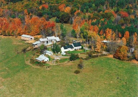 Visit This Cheese And Maple Farm For A Vermont Experience That Will Steal Your Heart