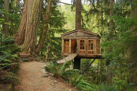 This Treehouse Resort In Washington May Just Be Your New Favorite Destination