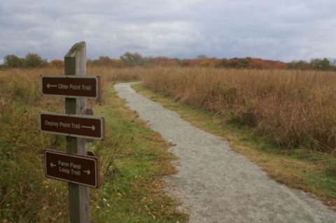 These 12 Wildlife Refuges In Rhode Island Have The Most Peaceful Trails You'll Want To Explore