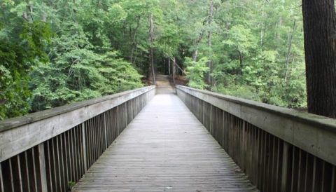 This Peaceful Lakeside Trail In Virginia Will Soothe Your Soul