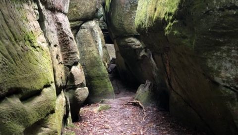 Hike Through Virginia's Rock Maze For An Adventure Like No Other