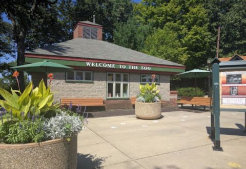 This Zoo In Connecticut Has Animals That You May Have Never Seen In Person Before