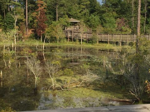 7 Beautiful And Scenic Trails In Louisiana That Are Perfect For Beginners