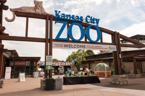 This Zoo In Missouri Has Animals That You May Have Never Seen In Person Before