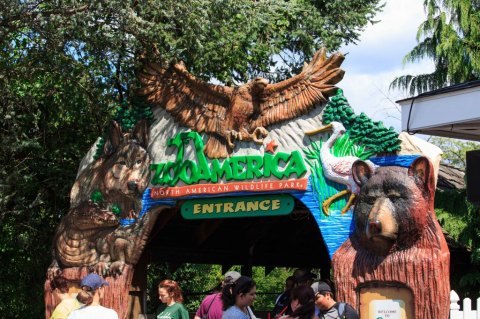 This Zoo In Pennsylvania Has Animals That You May Have Never Seen In Person Before