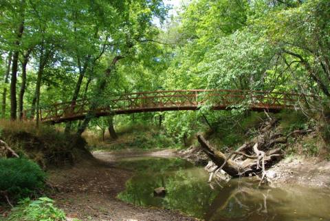 The Kansas Forest Trail That Holds A Long Forgotten Battle Of The Civil War