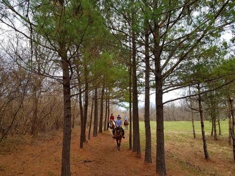 The Remarkable Ranch Getaway In Kentucky That Will Turn Anyone Into A Cowboy