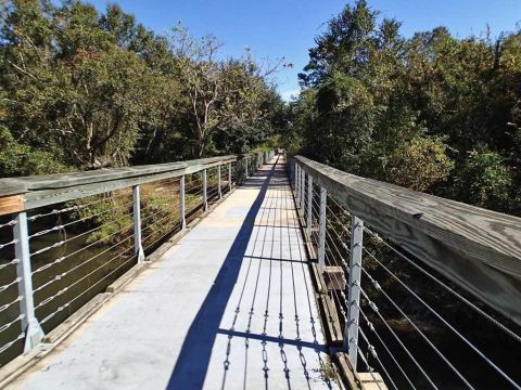 The Trail Near New Orleans That Will Lead You On An Adventure Like No Other