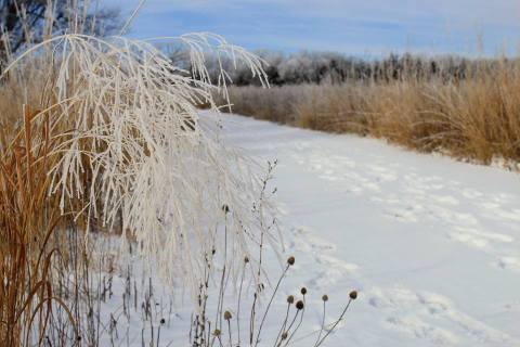 5 Picturesque Trails In South Dakota That Are Perfect For Winter Hiking