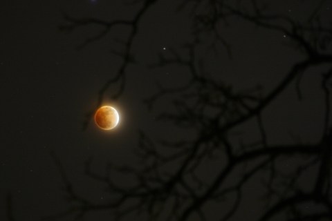 The Next Lunar Eclipse Will Be Visible From Nebraska And You Won't Want To Miss Out