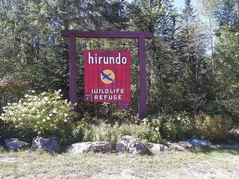 This Hike Takes You To A Place Maine's First Residents Left Behind