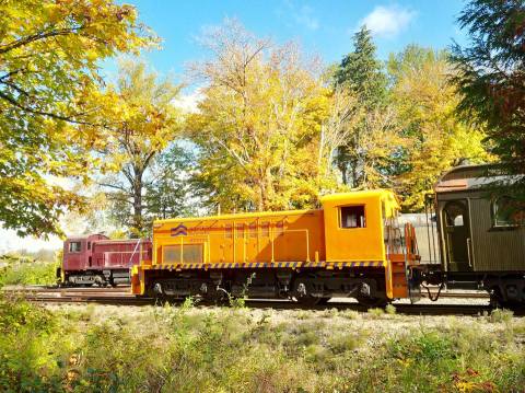 This 2-Hour Train Ride Is The Most Relaxing Way To Enjoy Washington Scenery