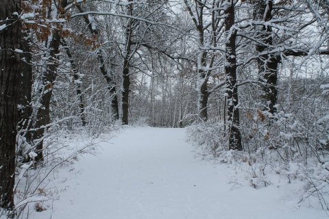 This Wisconsin Winter Wonderland Has More Than 60 Miles of Snowy Trails To Explore