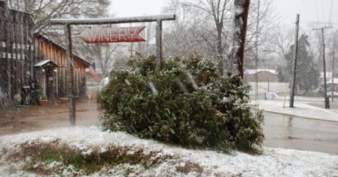 The Remote Winery In Mississippi That's Picture Perfect For A Day Trip