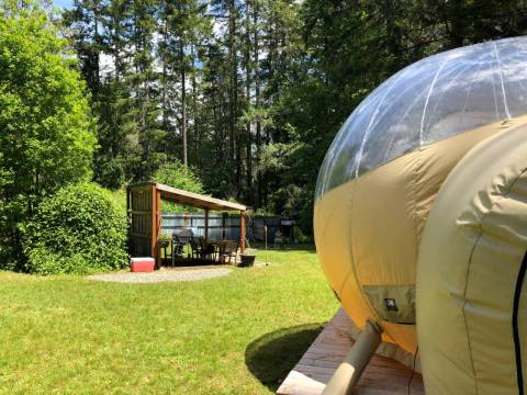 Sleep In A Bubble Under The Stars At This Unique Spot In Washington