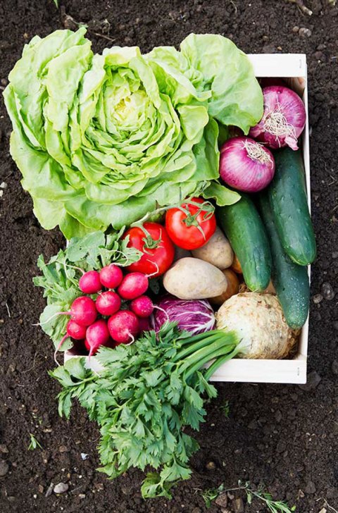 A Trip To This Indoor Farmers Market in Alaska Will Make Your Weekend Complete