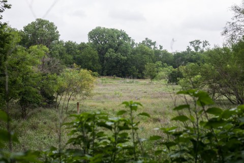 The Hidden Park That Will Make You Feel Like You've Discovered Austin's Best Kept Secret