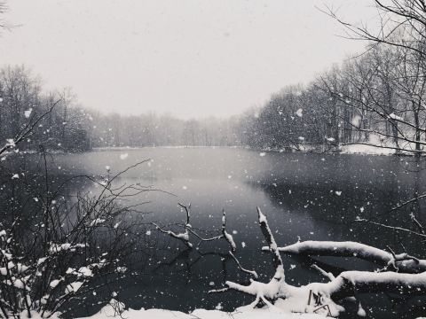 This Wonderful Winter Festival In Illinois Is The Ultimate Snow Day