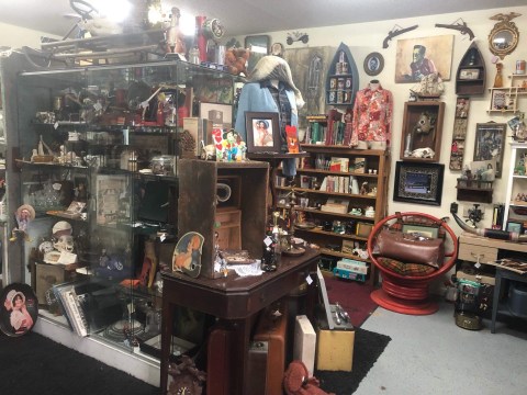 This Oddity Shop Might Just Be The Most Macabre Spot In All Of Michigan