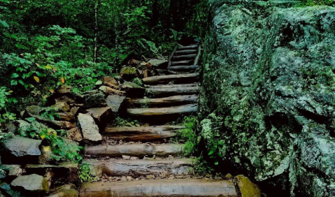 This Incredible Virginia Hike Will Take You Past 6 Beautiful Waterfalls