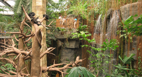 This Indoor Rainforest In Nebraska Makes For A Wild Adventure Year-Round