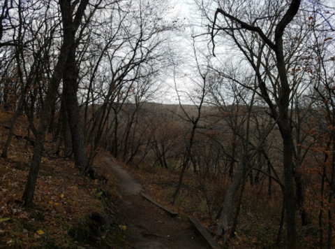 This Creepy Spot Deep In The Woods Of South Dakota Is Like Something Out Of A Horror Movie