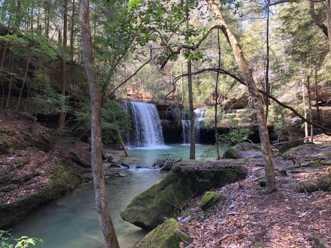 Take This Scenic Waterfall Hike In Alabama For The Ultimate Outdoor Adventure