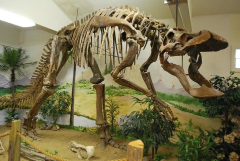 Here Are The 5 Must-See Montana Museums For Dinosaur Lovers