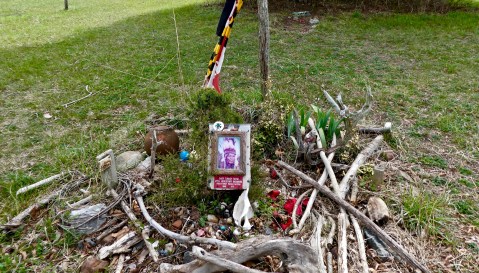 Few People Know That There's A Sacred Burial Site At This One Maryland Park