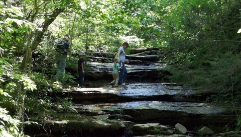 Hike In This Experimental Forest In Arkansas For An Adventure Like No Other