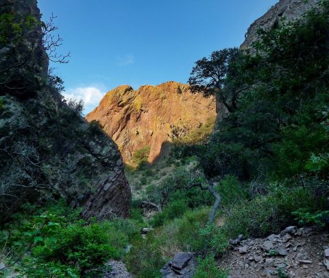 7 Beautiful And Scenic Trails In New Mexico That Are Perfect For Beginners