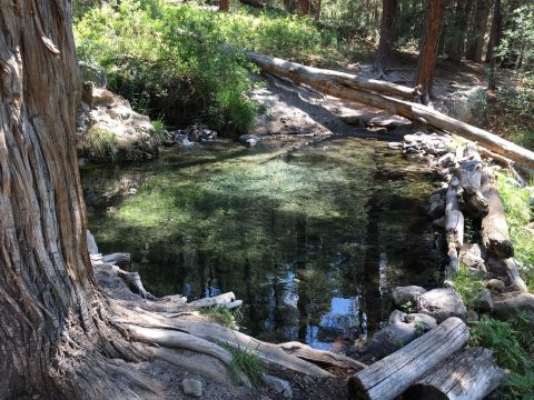 This Primitive Hot Springs Trail In New Mexico Is Everything You Need This Winter