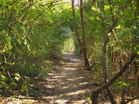 This Stunning Riverside Trail In Austin Is A True Hidden Gem