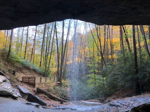 Your Kids Will Love This Easy 1-Mile Waterfall Hike Right Here In North Carolina