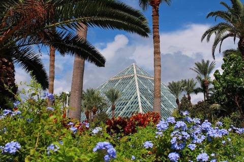 This Indoor Rainforest In Texas Makes For A Wild Adventure Year-Round