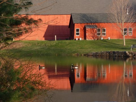 The 8 Best Nature Centers In Connecticut That Make The Perfect Day Trip Destination