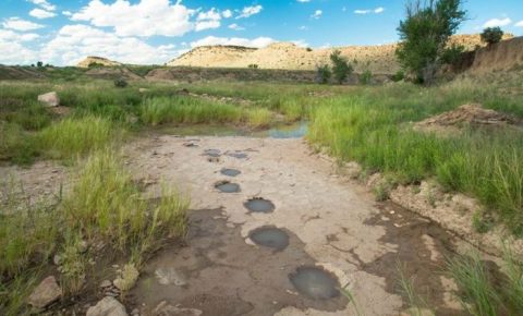 6 Awe-Inspiring Places In The U.S. Where Dinosaurs Once Roamed